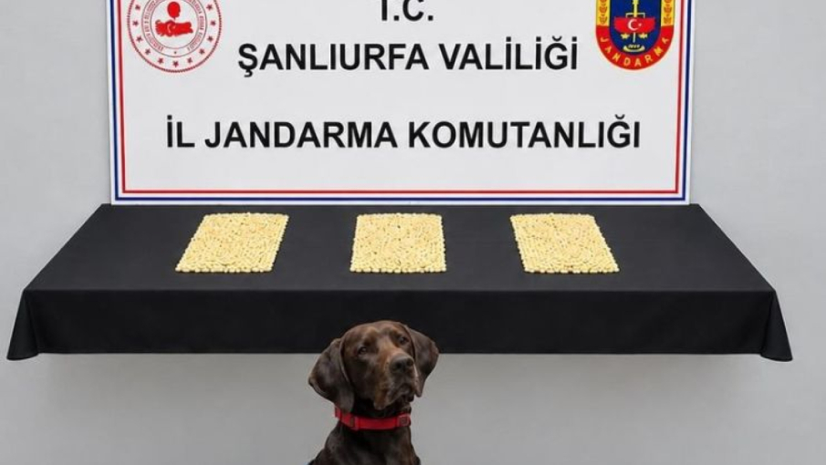 Eyyübiye’de 2 Bin 970 Captagon Hap Ele Geçirildi